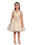 Girls Multi Color Lace Rhinestone Sash Pageant Dress 2-18 - SophiasStyle.com